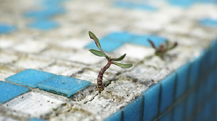 I Can't Breath I Can't Breath