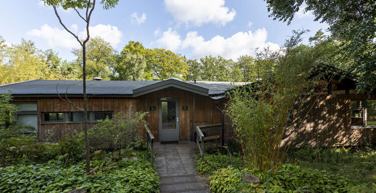Houten chalet in het bos met een bruggetje naar de voordeur